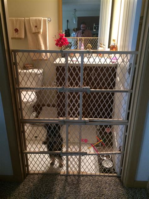 Dog Keeps Jumping Baby Gate at Rosemary Henry blog