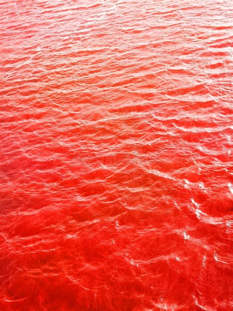 51+ Blood ocean Free Stock Photos - StockFreeImages