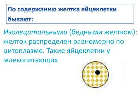 Типы яйцеклеток - презентация онлайн