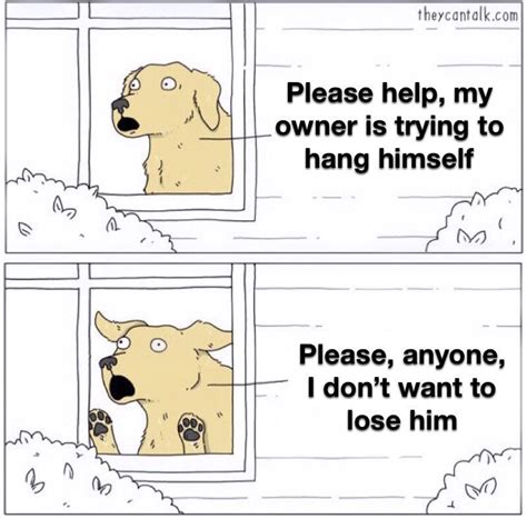 Sadly no one spoke dog : r/bonehurtingjuice