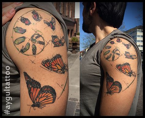 butterfly metamorphosis tattoo