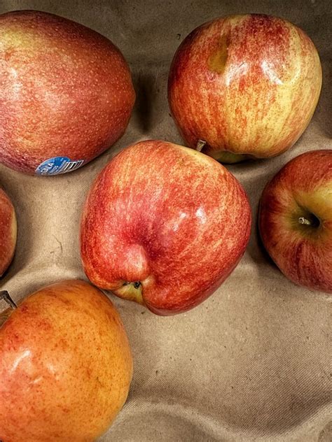 Apple Gala Apples - Free photo on Pixabay - Pixabay