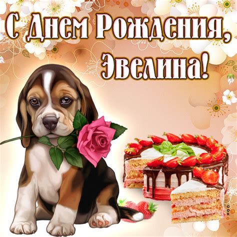 Картинки поздравления - С днем рождения, Эвелина! (77 фото)