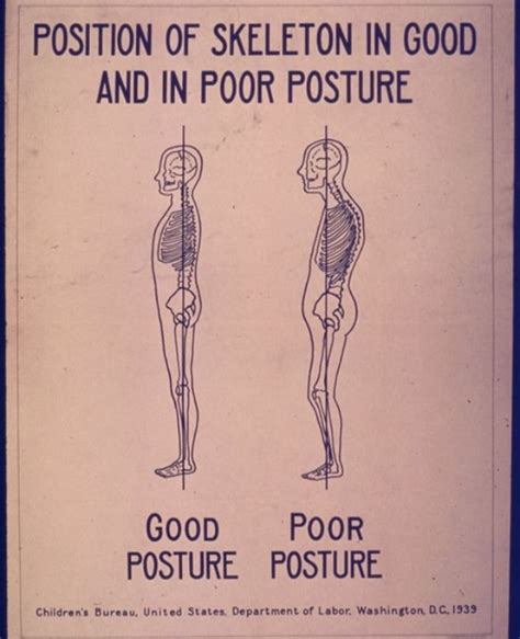 good posture   skeleton  fight