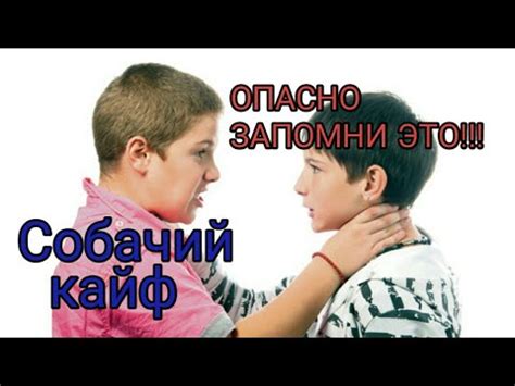 Собачий кайф😱😨😨😨😵 - YouTube