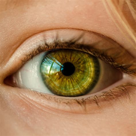 oftalmologia farmacia reccius