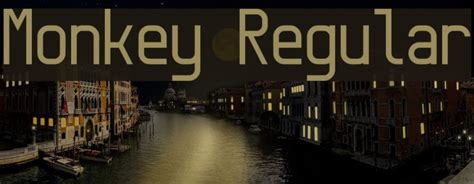 Monkey Regular Font - FFonts.net
