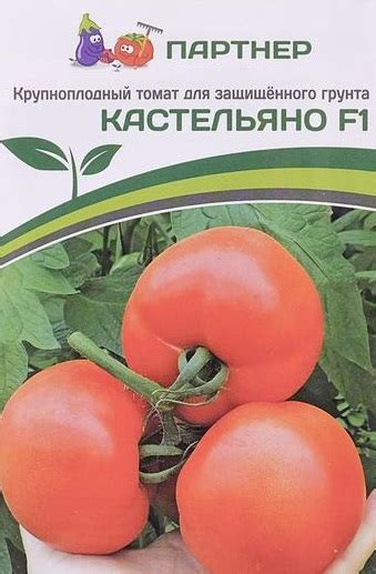 Томат Кастельяно (Партнер)