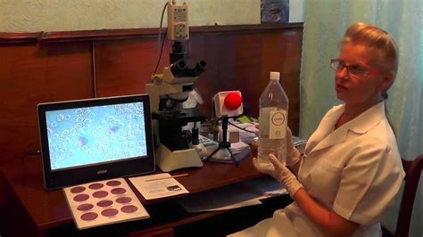 Гемотест крови на темнопольном микроскопе. Диагностика и профилактика ...