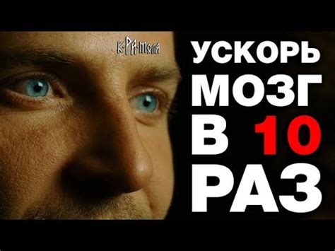 Какие методики и техники развития мозга использовали правители мира ...