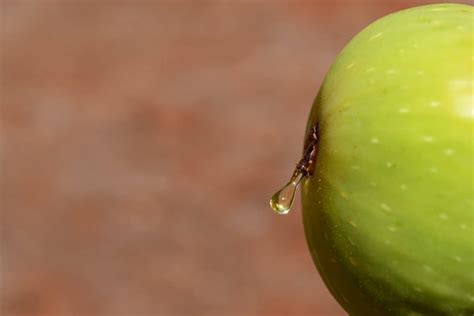 Free picture: nature, fruit, fig, juice, drop, food
