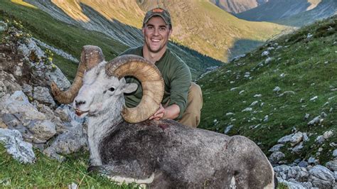 Four Sheep, Four Cartridges, One Nosler Complete North American Grand ...