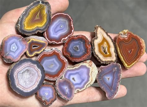 mexican agates  collectors guide   worlds  complex banded