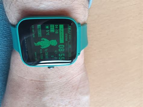 Pip-Boy (Pip Boy, Пип Бой, Пип-Бой) :: Fallout (Фоллаут) :: смарт-часы ...