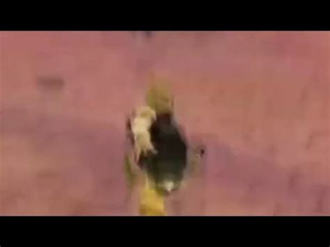 Айс оф хевен хорошая игра - YouTube
