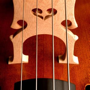 Kontrabass