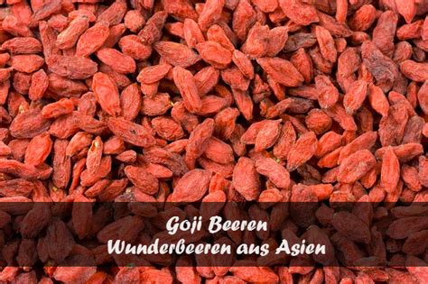 Goji Beeren - Wunderfrüchtchen aus Asien, lecker und gesund!