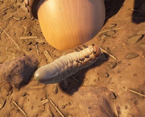 Grounded: Where to Find Grub (Location Guide) - Games Fuze