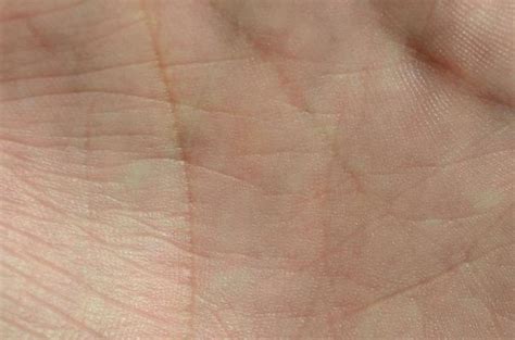 Hand Texture Stock Photos, Images and Backgrounds for Free Download