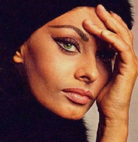 sophia loren eyebrows