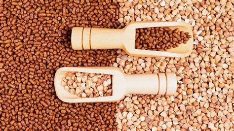 Everything You Need To Know About Buckwheat