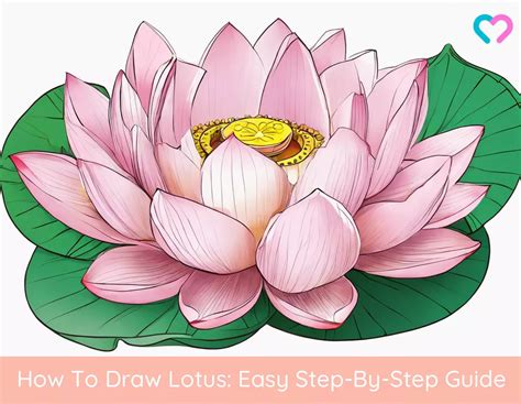 draw  lotus flower   easy steps