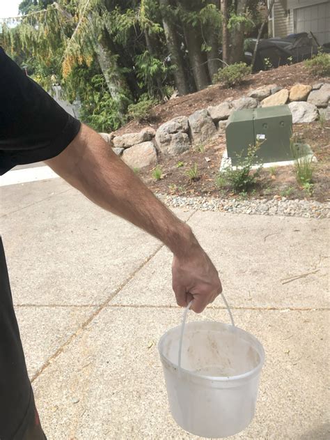 Simple Science Experiment: Gravity Defying Water - MetroFamily Magazine