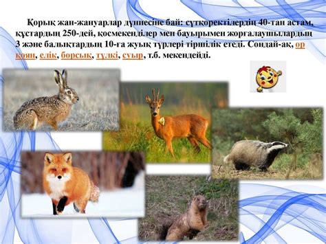 Наурызым қорығы - презентация онлайн