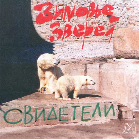 Дворники - YouTube Music
