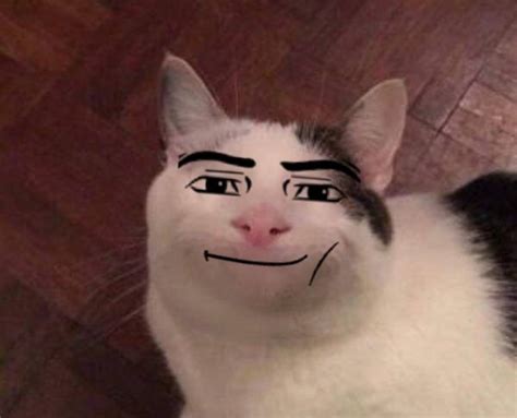 Mancat | Roblox Guy, Funny Cat Memes