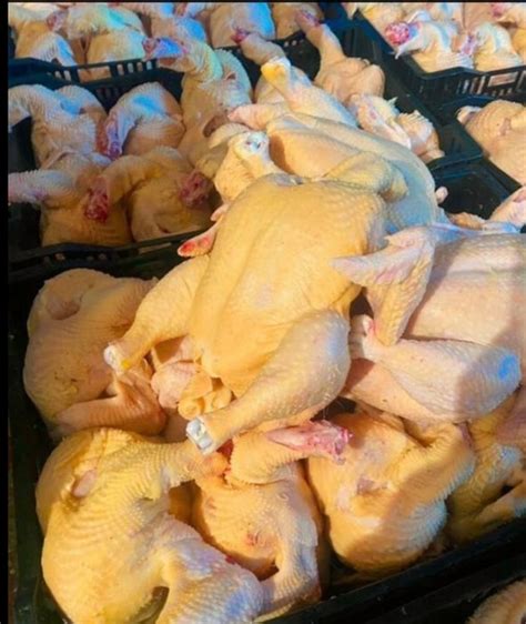 Доброго времени суток Реализуем продукцию оптом и в розницу! В наличии ...