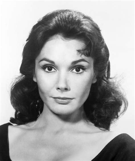 Felicia Farr: A Journey Through The Life And Career Of An Iconic Actress