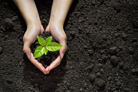 natural answers premium health supplements