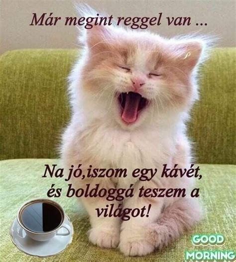 Pin by Ildikó Méhes on December ️ | In meme, Humor, Good morning