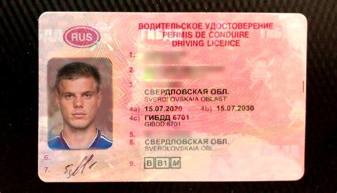 В России утвердили обновлённый формат водительских прав