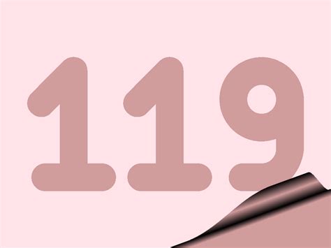 Numbers: Number 119