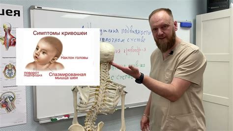 ГОЛОВНАЯ БОЛЬ И СОСУДИСТЫЕ НАРУШЕНИЯ ГОЛОВЫ - YouTube