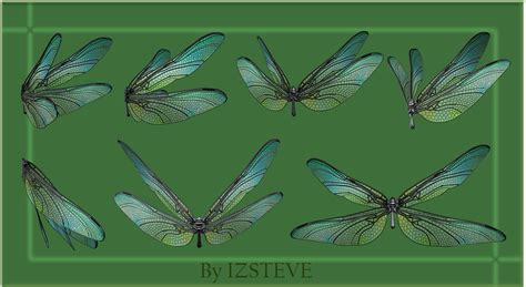 Dragonfly Wings Set 01 by IZSTEVE on DeviantArt