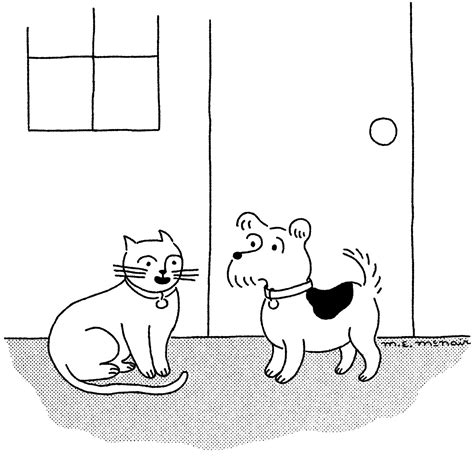 Doctors HATE This One MyAARPMedicare.com Providers Trick! Image 2