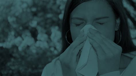Alergologija Medica Interna Plus