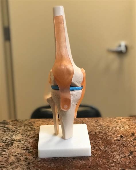 Assist Physical & Occupational Therapy | Brooklyn NY