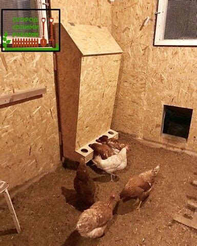 Хорошие идеи по кормёшке, содержанию и выгула птицы 🐓 | OK.RU | Chicken ...