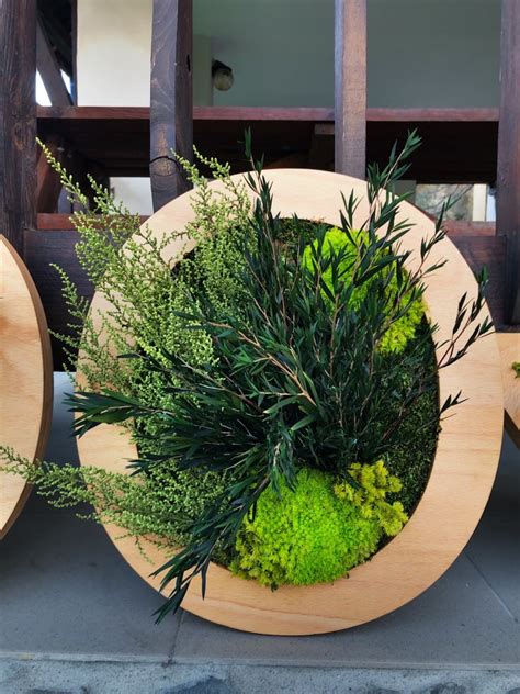 forme din lemn natura  spatiul interior forme