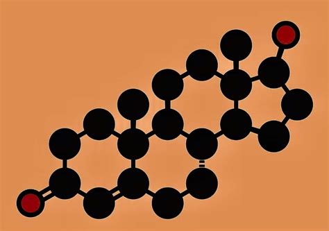 Try Taking This Testosterone Quiz - The Turek Clinic