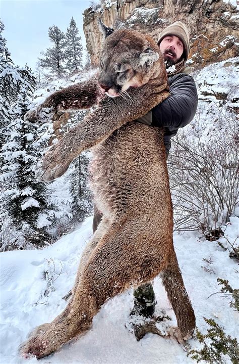 Ex-NFL player bags huge mountain lion