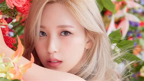 mina desktop wallpapers wallpaper cave