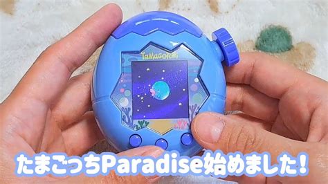 paradise youtube