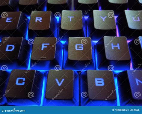 light keyboard stock photo image  albert germination