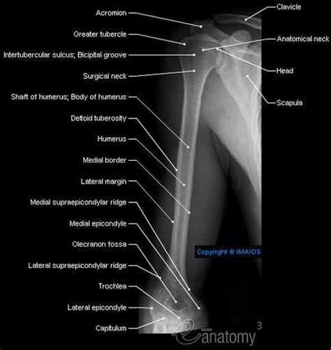 Pin on Medical