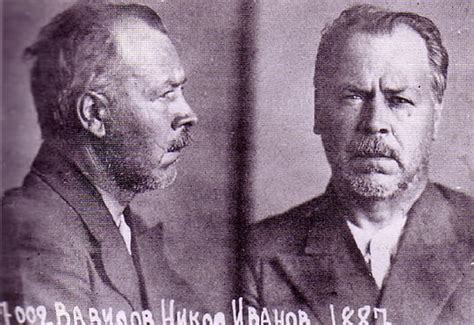 Николай Вавилов – биография, фото, личная жизнь, вклад в науку - 24СМИ
